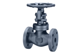 Globe Valve Manufacturer in India